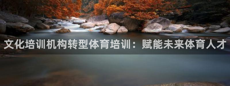 焦点娱乐公司简介资料