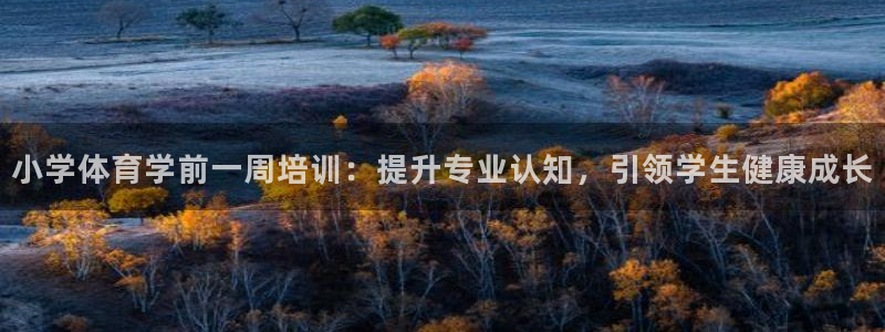 焦点娱乐官网下载苹果手机版：小学体育学前一周培训：提