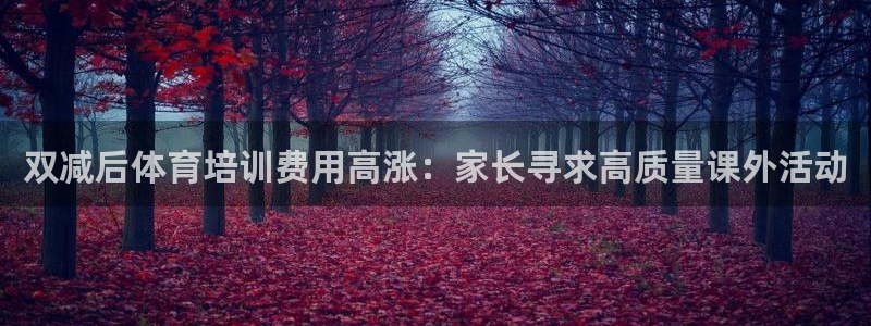 焦点娱乐官网下载安装手机版