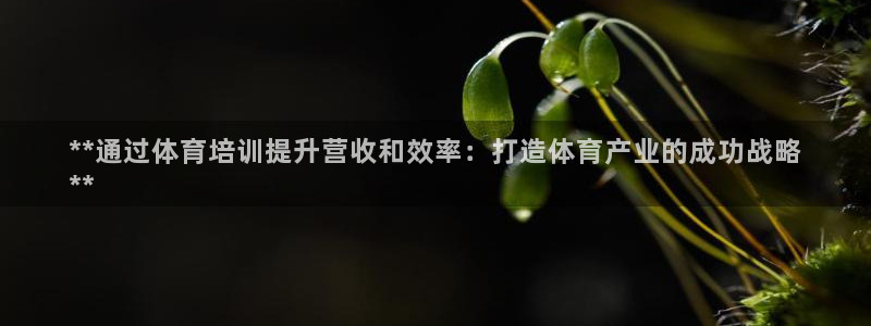 焦点娱乐官网首页下载