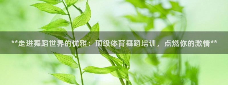 焦点娱乐平台客服电话：**走进舞蹈世界的优雅：顶级体育舞蹈培