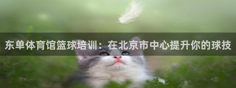 焦点娱乐陈江河：东单体育馆篮球培训：在北京市中心提升你的球技