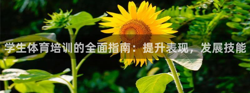 焦点娱乐游戏怎么玩教程：学生体育培训的全面指南：提升