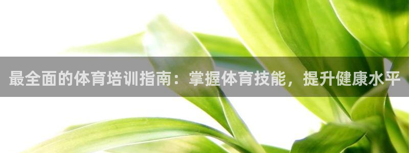焦点娱乐公司简介资料：最全面的体育培训指南：掌握体育