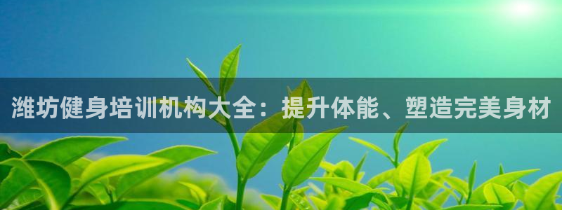 焦点娱乐传媒有限公司怎么样知乎招聘：潍坊健身培训机构大全：提
