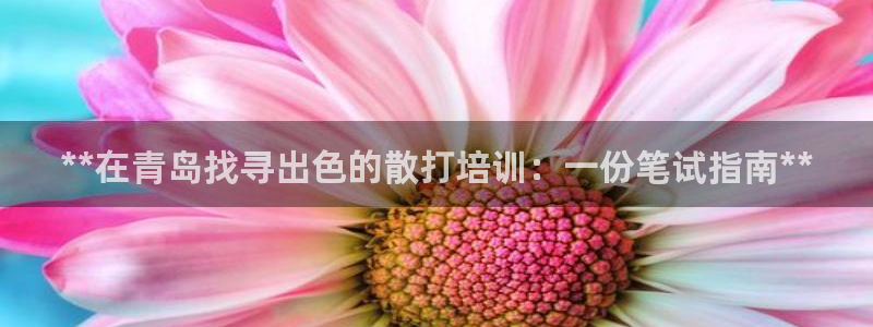 焦点娱乐说说文案：**在青岛找寻出色的散打培训：一份