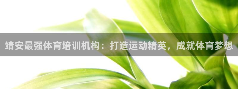 焦点娱乐跨服：靖安最强体育培训机构：打造运动精英，成
