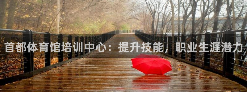 焦点娱乐平台主管：首都体育馆培训中心：提升技能，职业