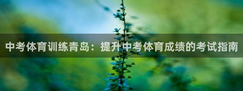 焦点娱乐总代理是谁：中考体育训练青岛：提升中考体育成