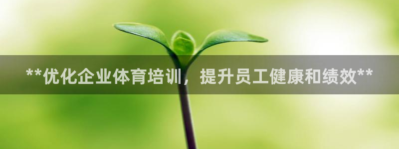 焦点娱乐游戏攻略：**优化企业体育培训，提升员工健康