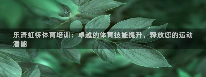 焦点娱乐网站下载地址