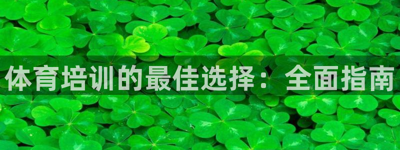 焦点娱乐如何注册账号的：体育培训的最佳选择：全面指南