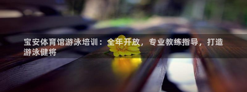 焦点娱乐力 411o31 焦点