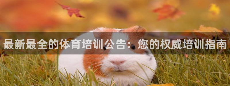 焦点娱乐官网下载苹果：最新最全的体育培训公告：您的权
