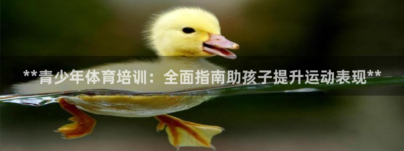 焦点娱乐拉菲：**青少年体育培训：全面指南助孩子提升