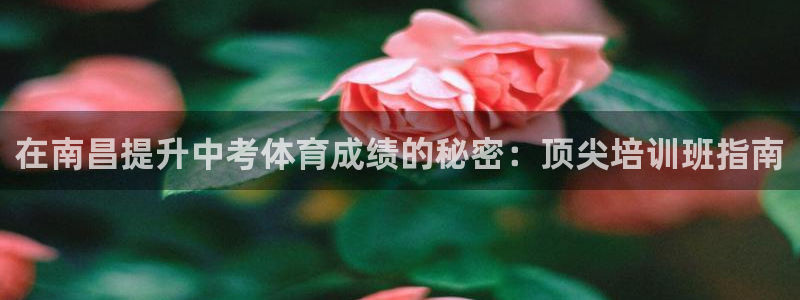 焦点娱乐官网下载苹果版：在南昌提升中考体育成绩的秘密