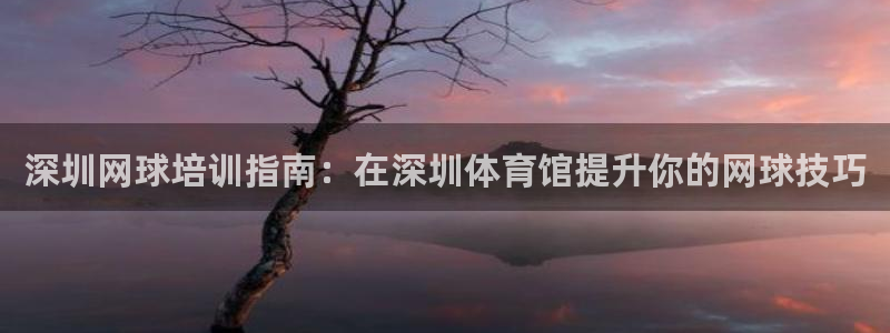 焦点娱乐游戏怎么玩：深圳网球培训指南：在深圳体育馆提