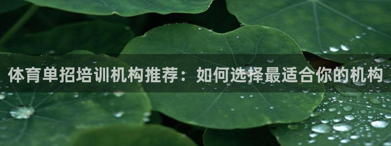 焦点娱乐传媒有限公司：体育单招培训机构推荐：如何选择