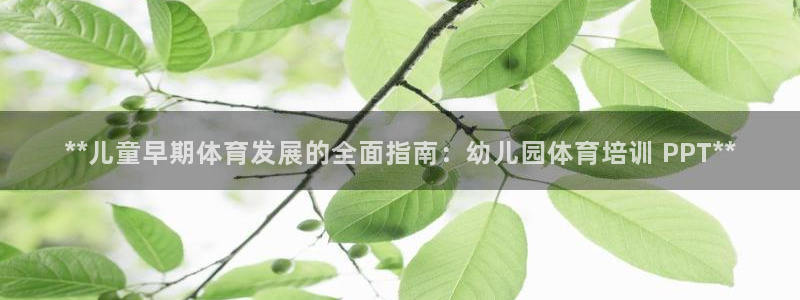 焦点娱乐传媒有限公司是干嘛的：**儿童早期体育发展的