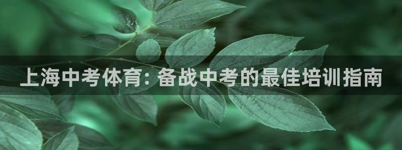 焦点娱乐官网下载安装最新版本：上海中考体育: 备战中