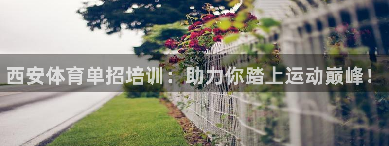 焦点娱乐黑平台：西安体育单招培训：助力你踏上运动巅峰