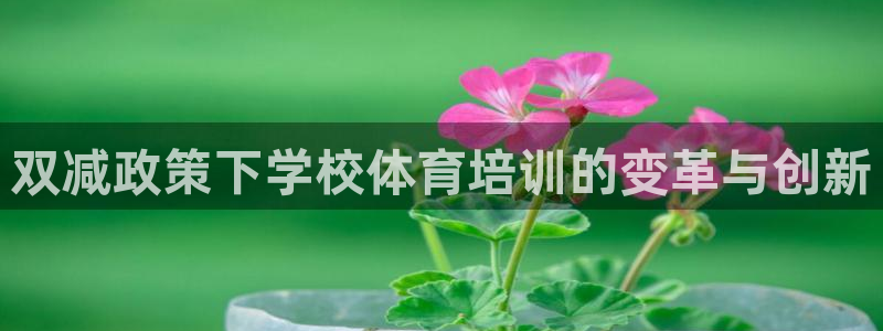 焦点娱乐传媒有限公司：双减政策下学校体育培训的变革与