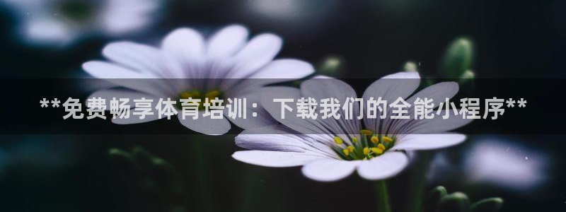 焦点娱乐平台客服热线电话：**免费畅享体育培训：下载