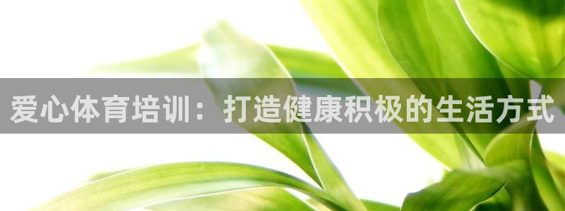 焦点娱乐软件版本大全：爱心体育培训：打造健康积极的生