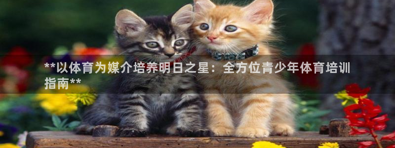 焦点娱乐平台玩法官方导师：**以体育为媒介培养明日之