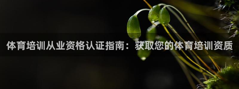 焦点娱乐平台客服电话号码是多少：体育培训从业资格认证指南：获