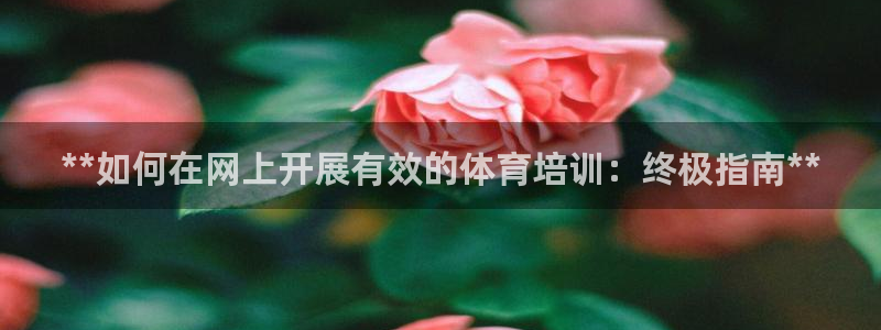 焦点娱乐官方网站首页下载安装：**如何在网上开展有效