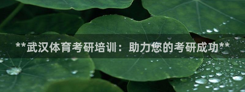 焦点娱乐官网首页下载手机版：**武汉体育考研培训：助