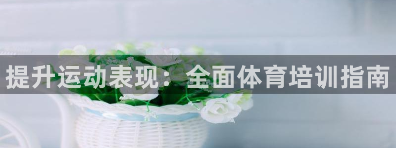 焦点娱乐游戏攻略视频：提升运动表现：全面体育培训指南