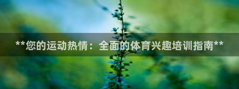 焦点娱乐如何注册账号的：**您的运动热情：全面的体育