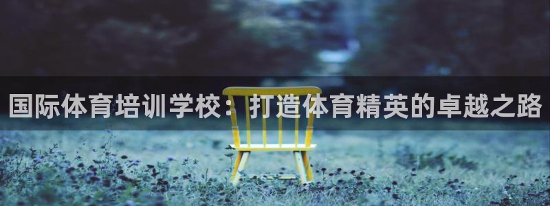 焦点娱乐游戏怎么玩：国际体育培训学校：打造体育精英的