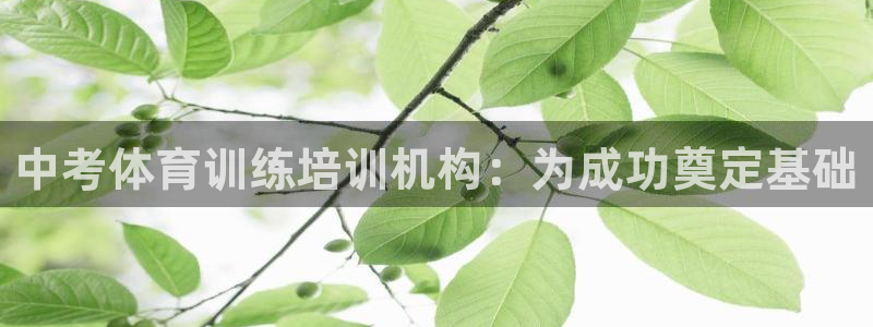 焦点娱乐是什么软件：中考体育训练培训机构：为成功奠定
