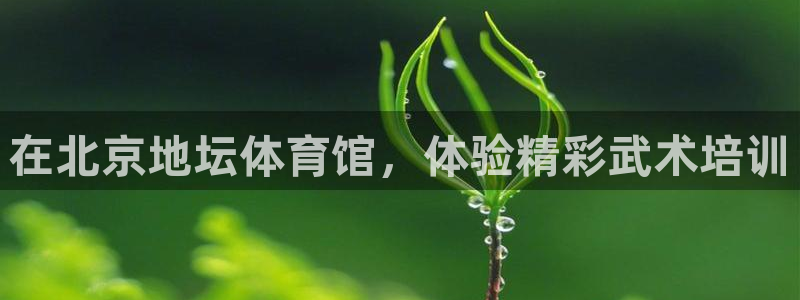 焦点娱乐加速器：在北京地坛体育馆，体验精彩武术培训