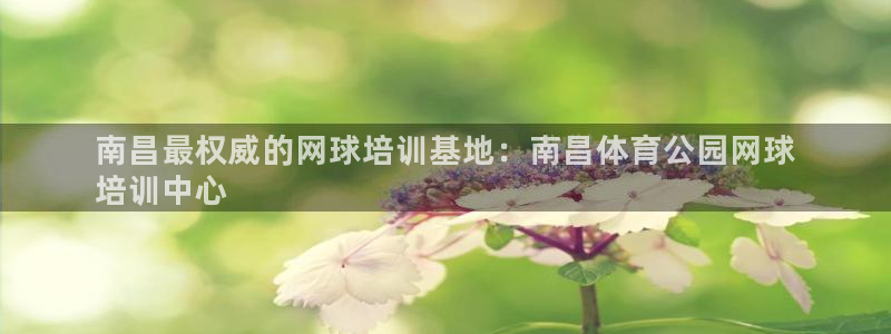 焦点娱乐是黑平台吗：南昌最权威的网球培训基地：南昌体育公园网