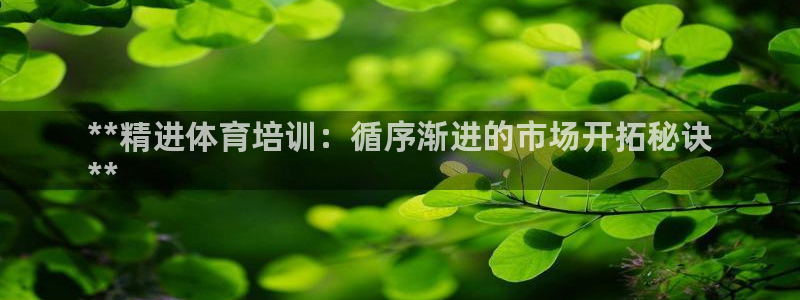 焦点娱乐不出款了吗：**精进体育培训：循序渐进的市场