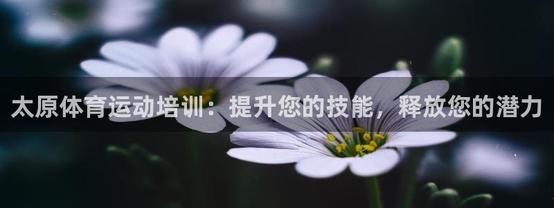 焦点娱乐官网首页：太原体育运动培训：提升您的技能，释