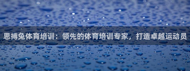 焦点娱乐官方网站下载安装最新版：思搏兔体育培训：领先的体育培