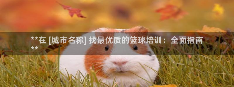 焦点娱乐平台是正规的吗知乎：**在 [城市名称] 找