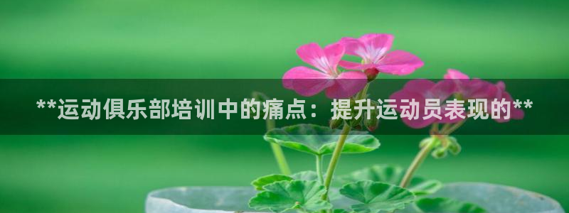 焦点娱乐官方网站首页下载手机版：**运动俱乐部培训中的痛点：