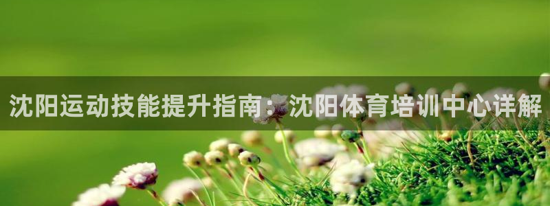 焦点娱乐app下载官网苹果版：沈阳运动技能提升指南：