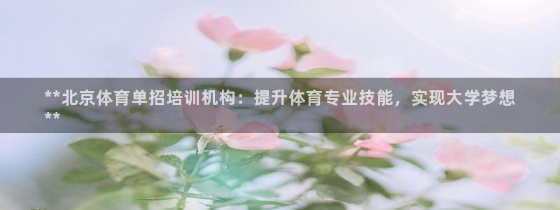 焦点娱乐app下载苹果版官网