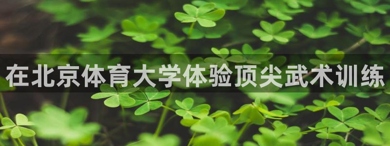 焦点娱乐全国总冠军