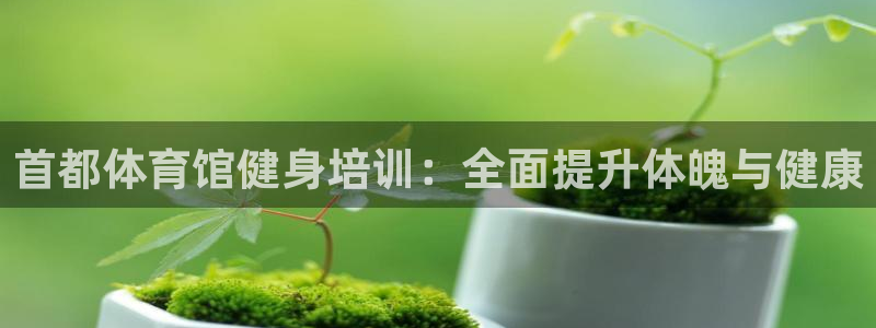 焦点娱乐官网下载安装苹果：首都体育馆健身培训：全面提