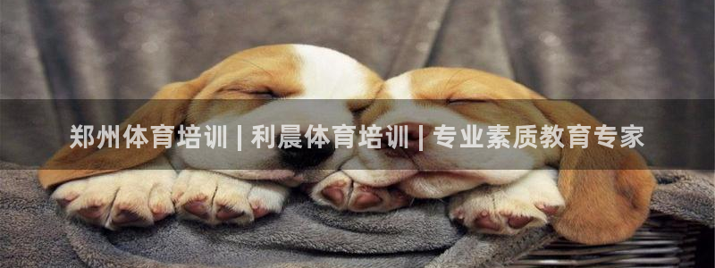 焦点娱乐公司官网