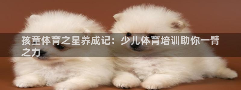焦点娱乐app下载官网：孩童体育之星养成记：少儿体育