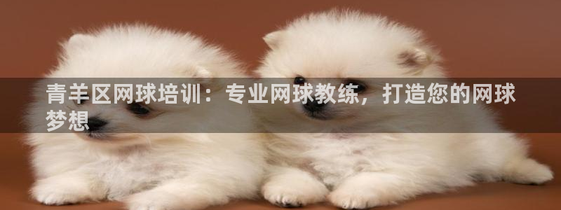 焦点娱乐官方网站下载手机版：青羊区网球培训：专业网球教练，打